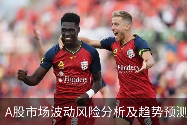A股市场波动风险分析及趋势预测